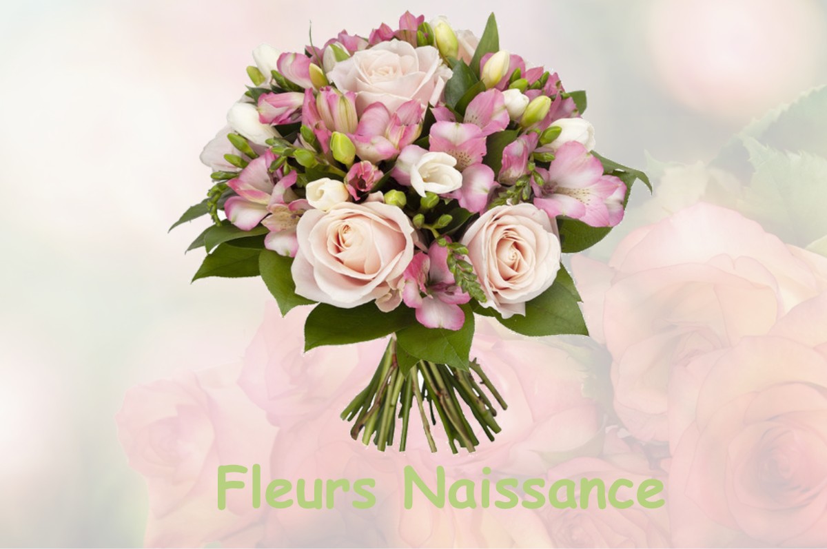 fleurs naissance NOISY-LE-ROI