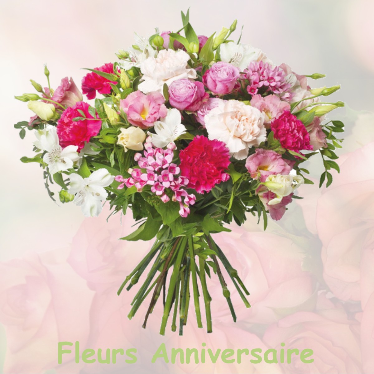 fleurs anniversaire NOISY-LE-ROI